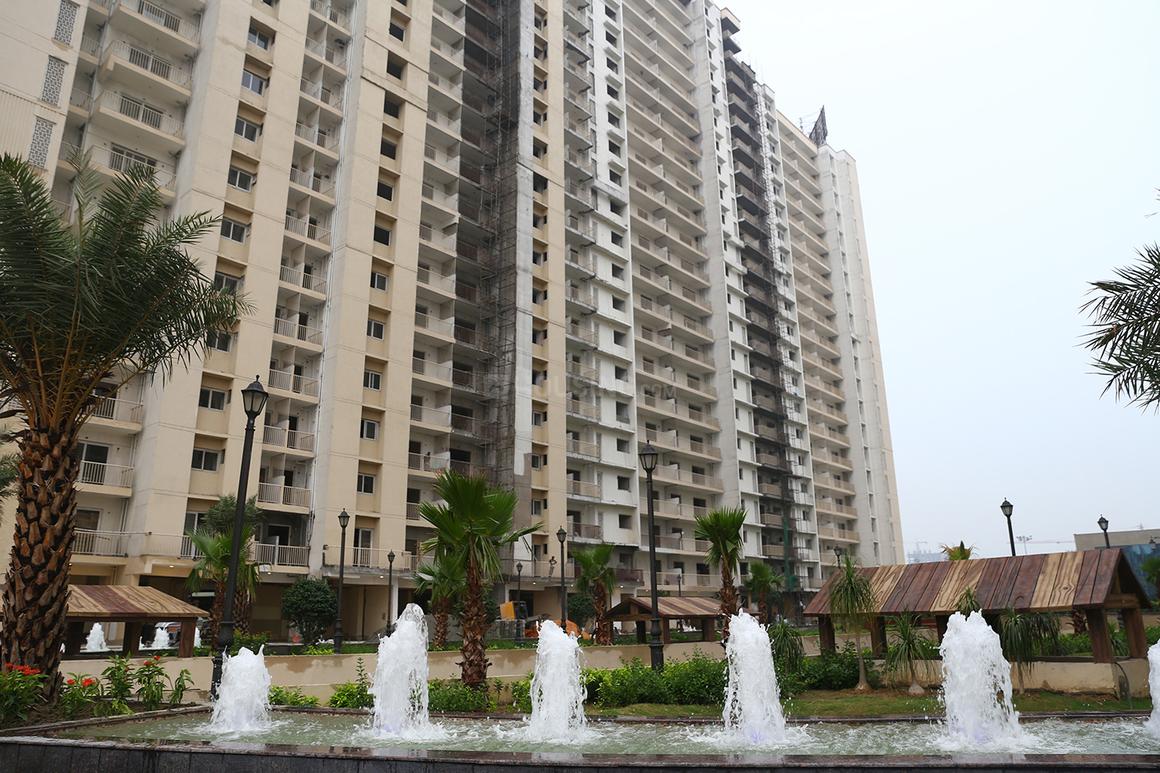 Saya Zion - Image 23