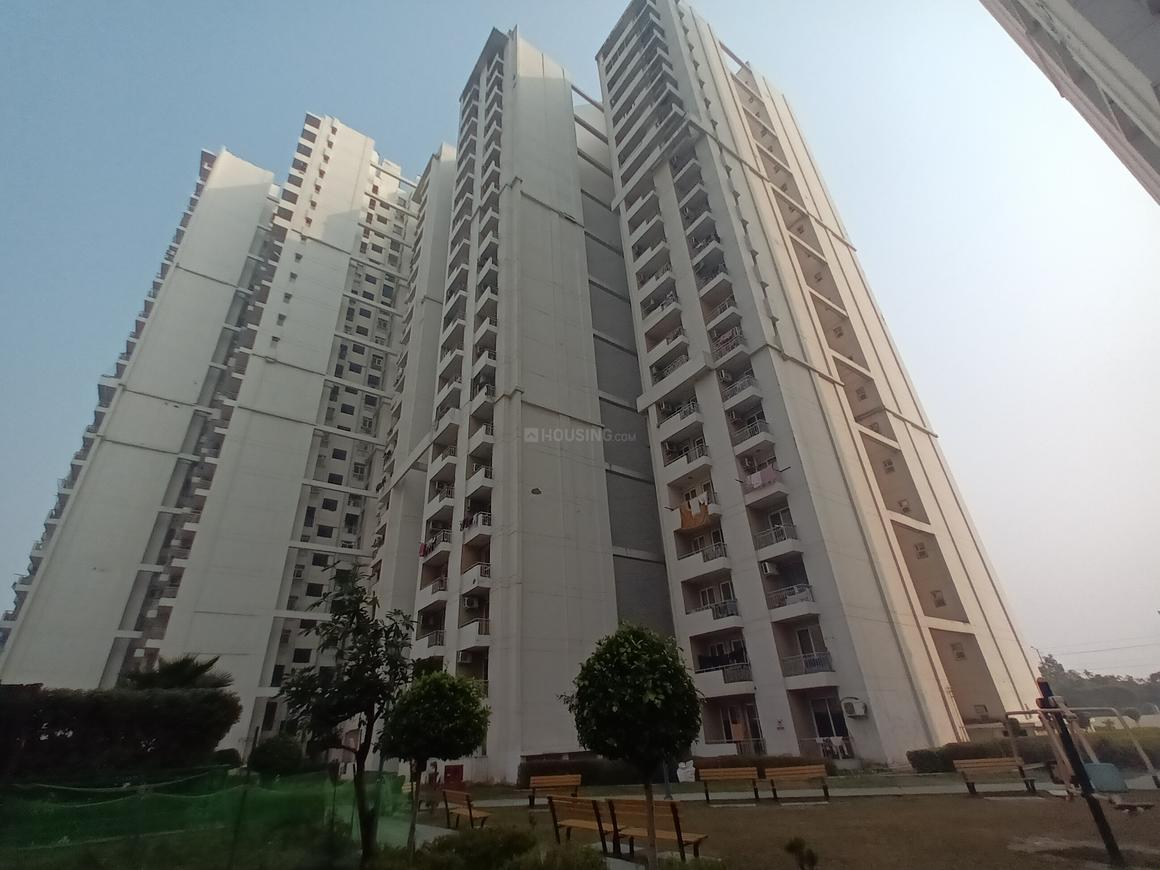 The 3C Lotus Zing - Image 2