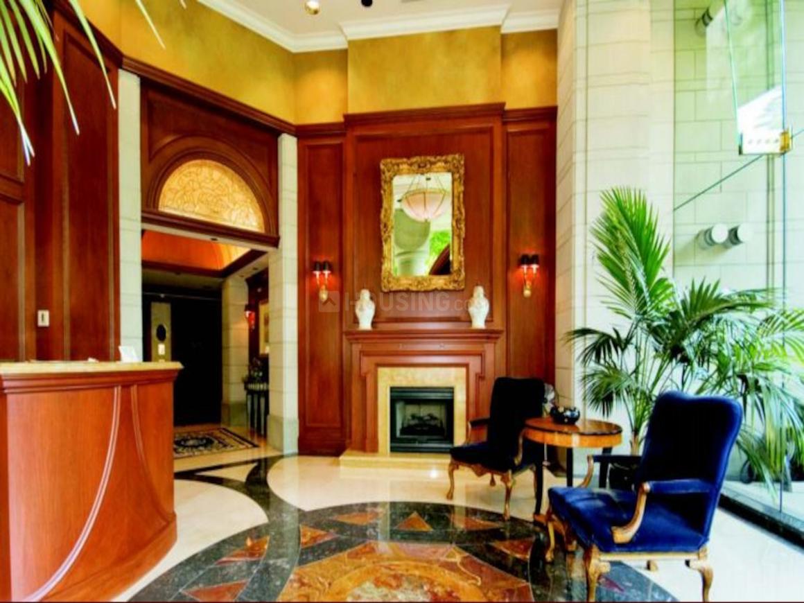 Antarctica Tricone - Image 4