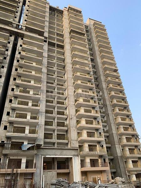 ACE Divino - Image 45