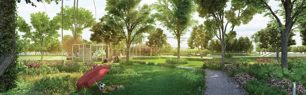 Prateek Canary - Image 13