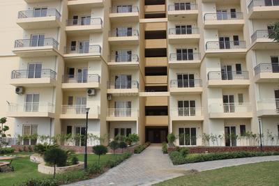 3 BHK Apartment