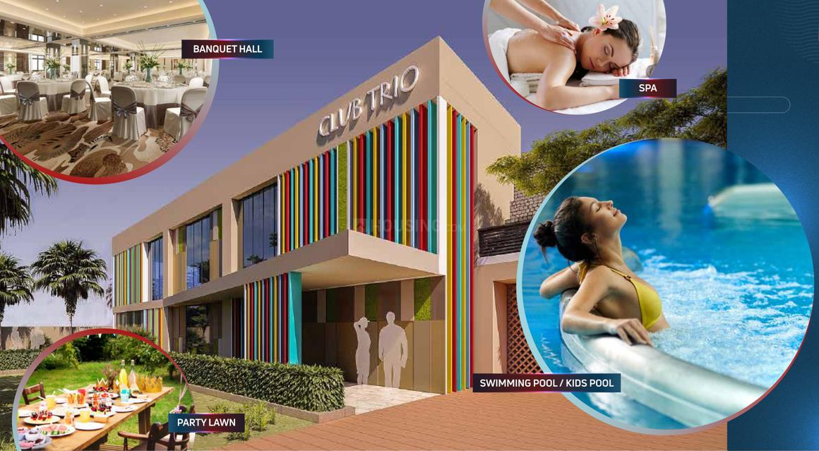 Nirala Trio - Image 8