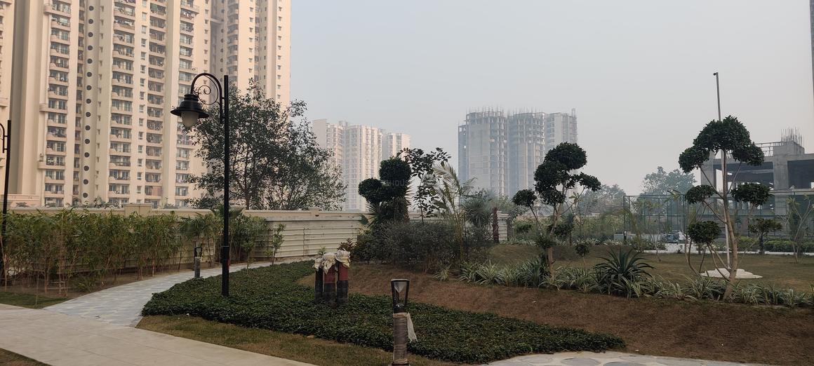 ATS Rhapsody - Image 17