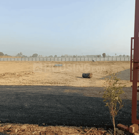 Rose N City - Image 14