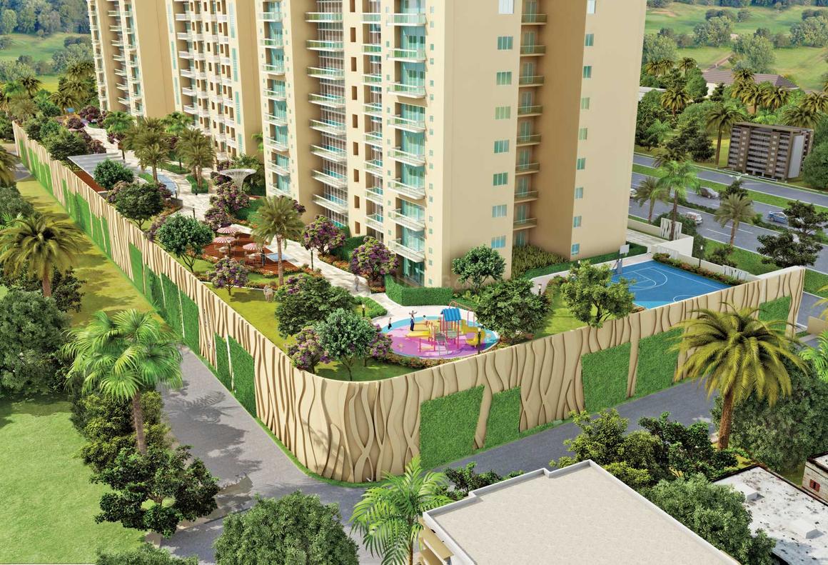 Saha Amadeus - Image 3