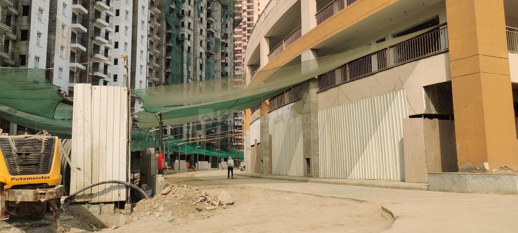 ATS Floral Pathways - Image 16