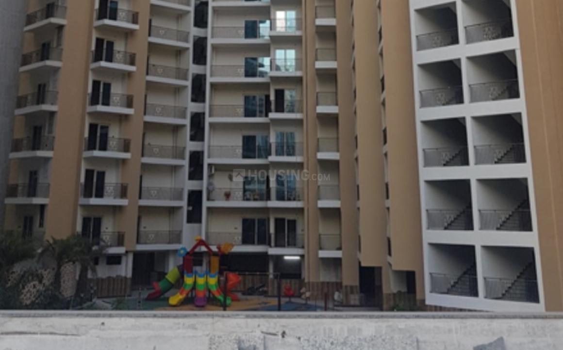 Town White Orchid - Image 12