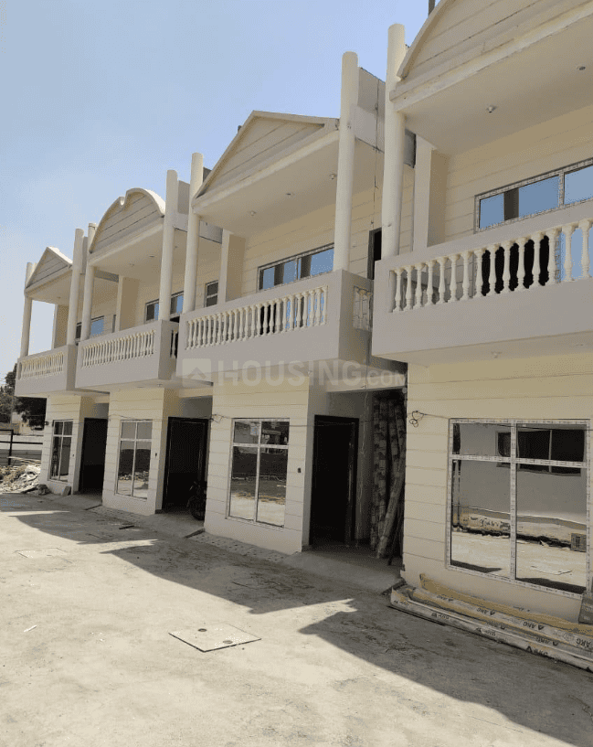 Aambesten Twin Clarus - Image 2