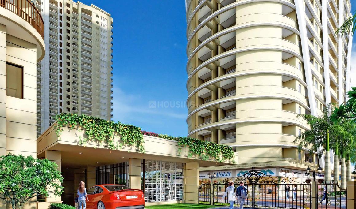 Dasnac The Jewel - Image 6