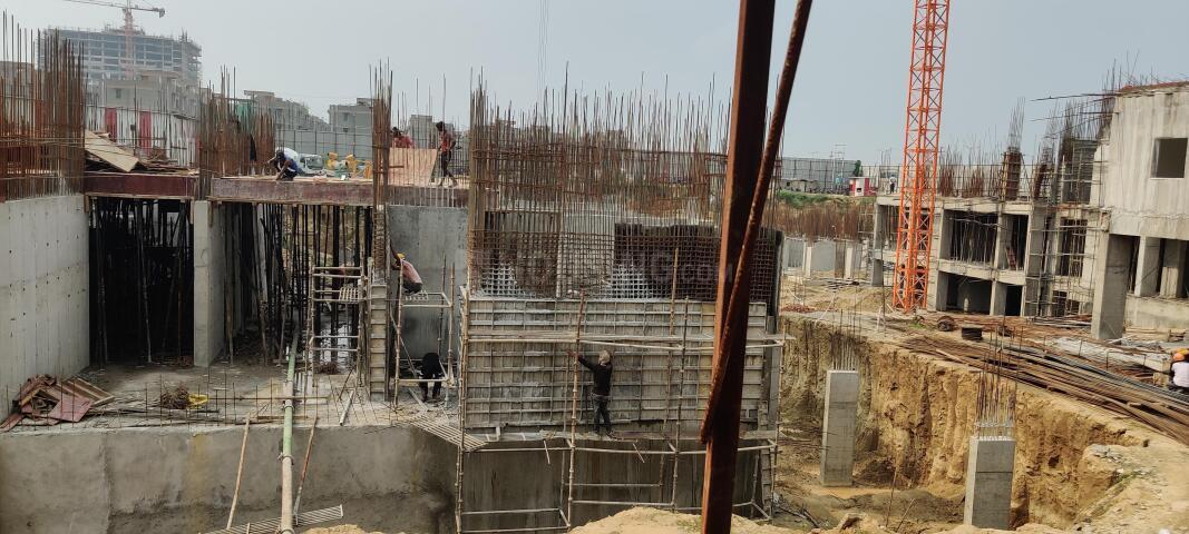 Irish Platinum - Image 30