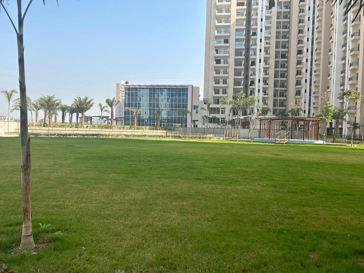 Oasis Grandstand - Image 30