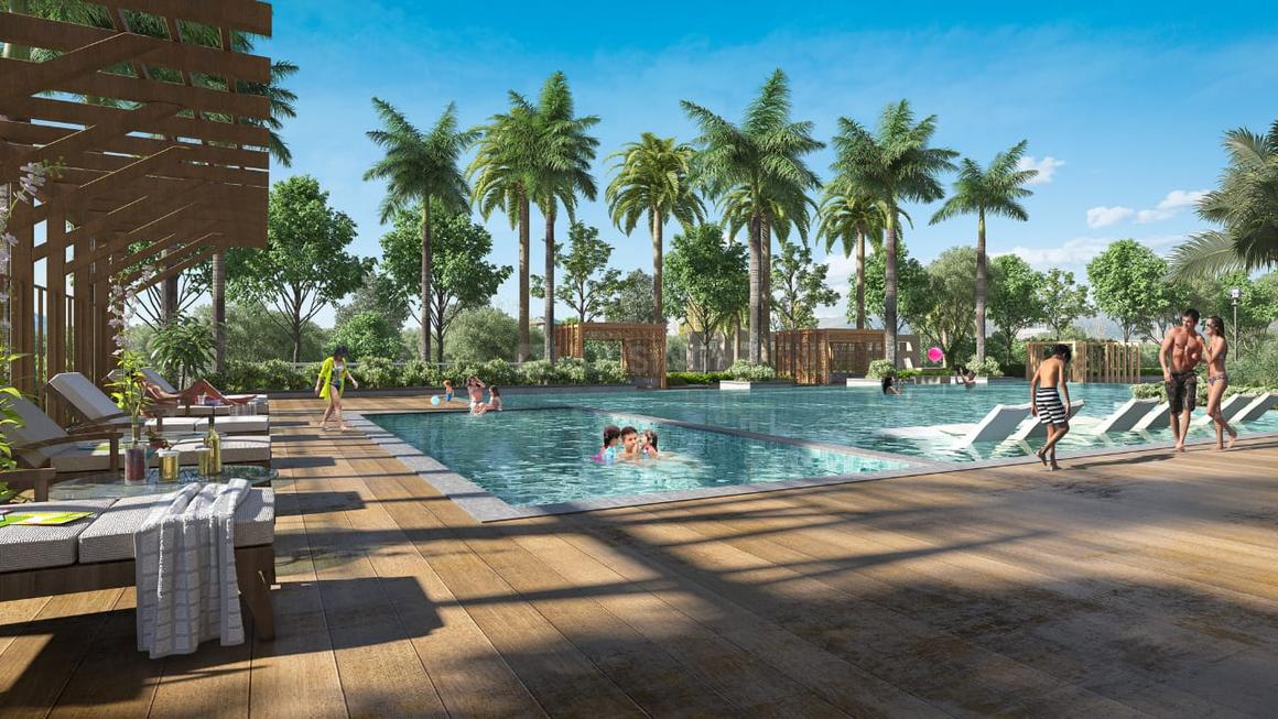 Irish Pearls - Image 10