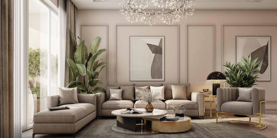 Ivory County Gold - Image 4