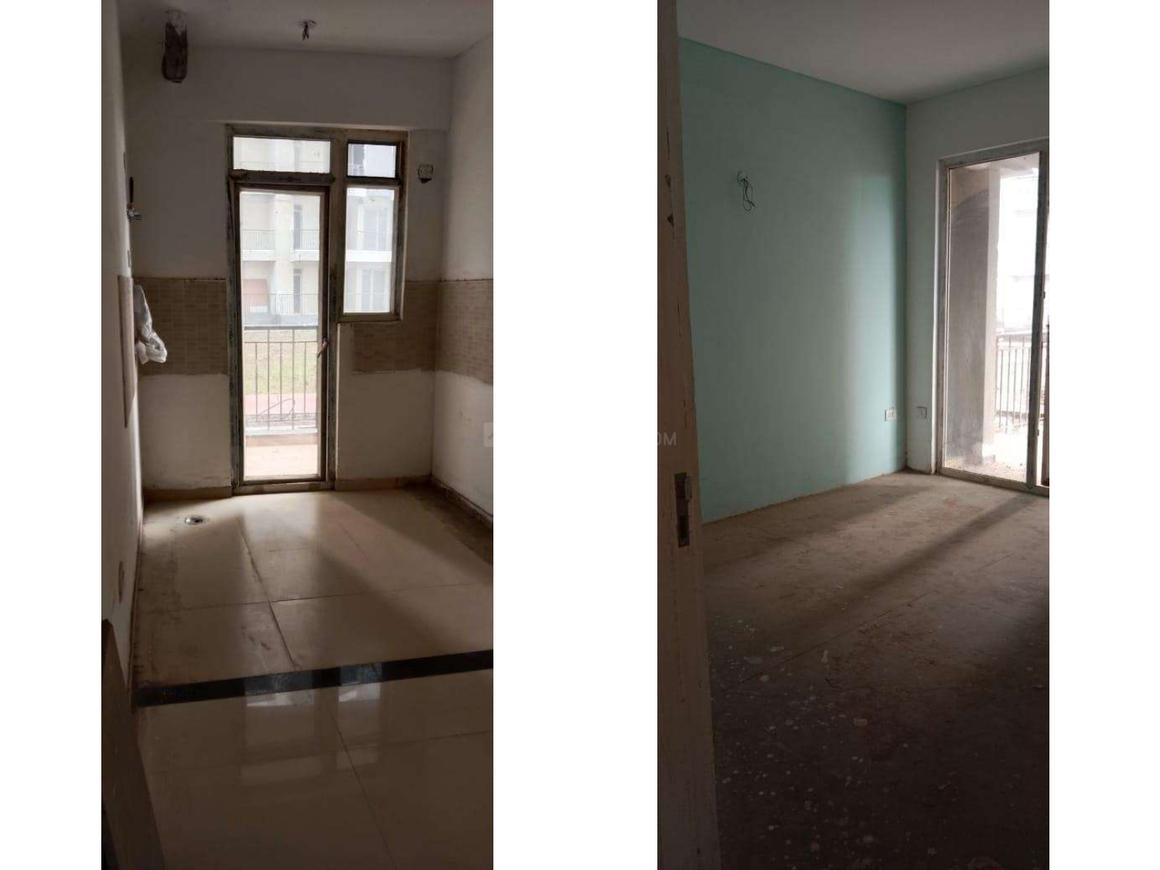 Home And Soul Beetle Lap - Image 8