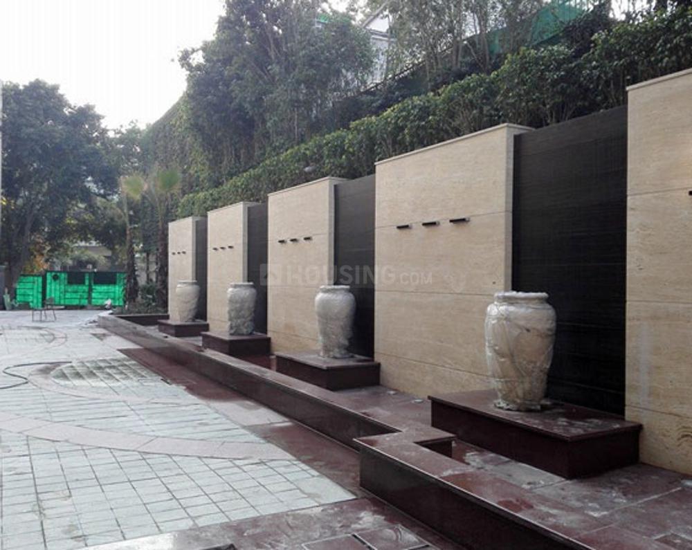 Aarone Botanica - Image 14