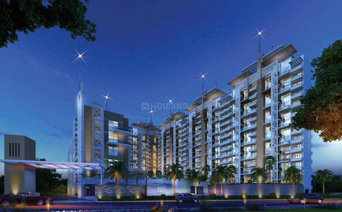 Rise Organic Homes - Image 2