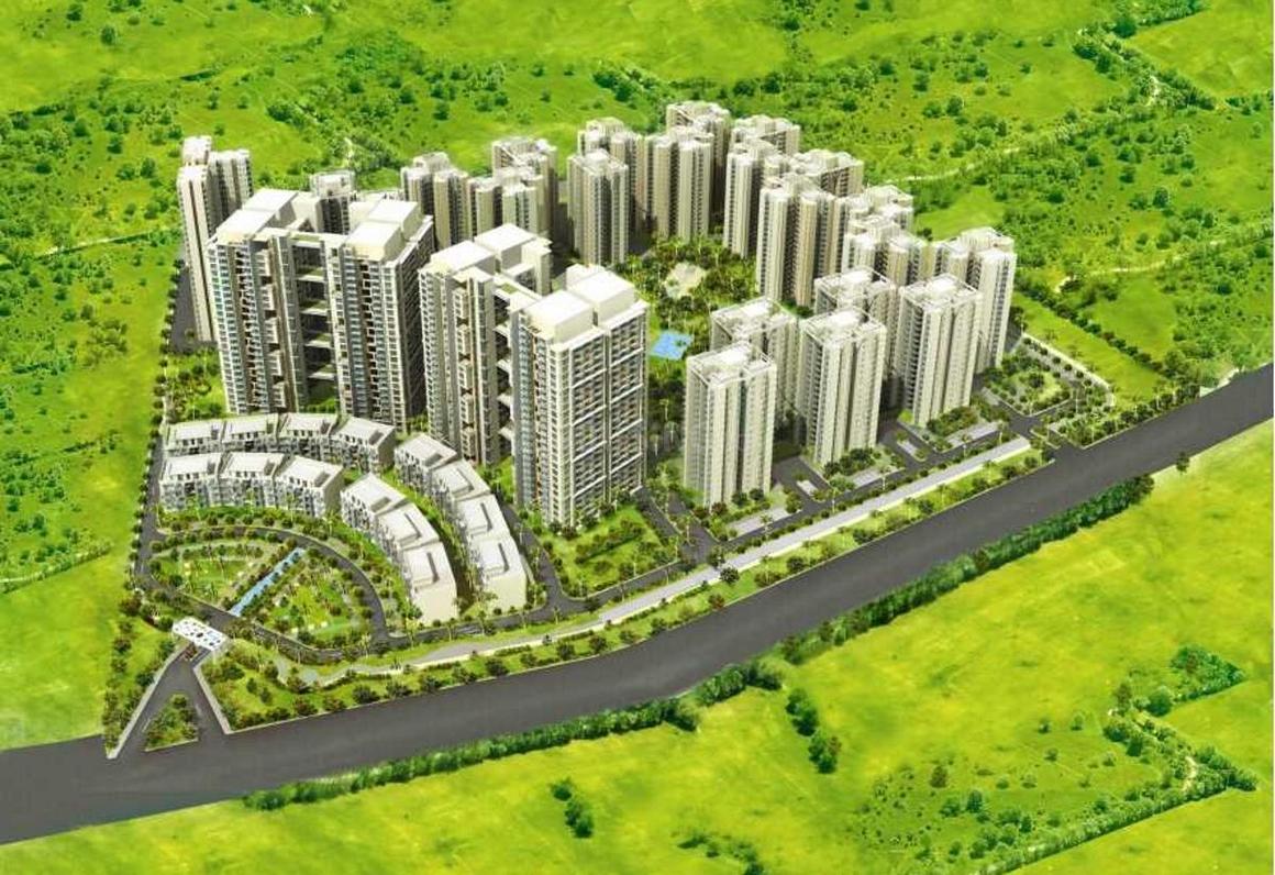 Paras Tierea - Image 4