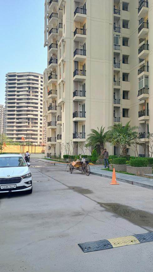 Sikka Karnam Greens - Image 6