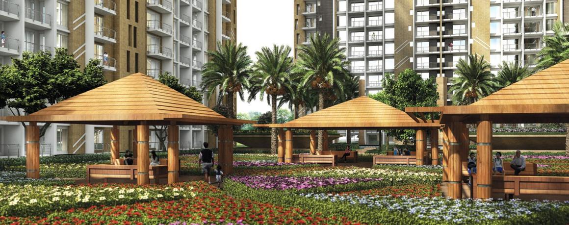 ABA Cleo County - Image 20