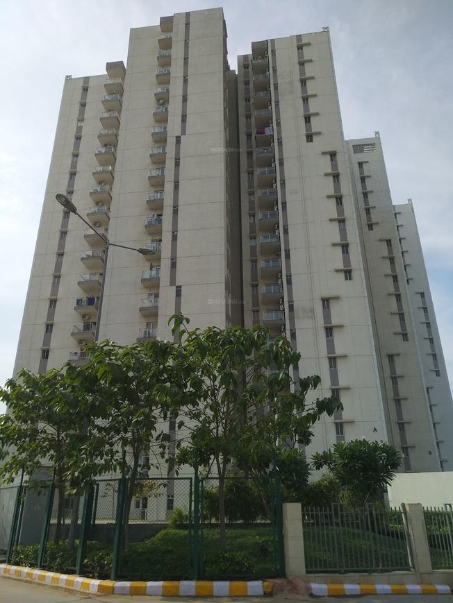 ASF Isle de Royale - Image 4