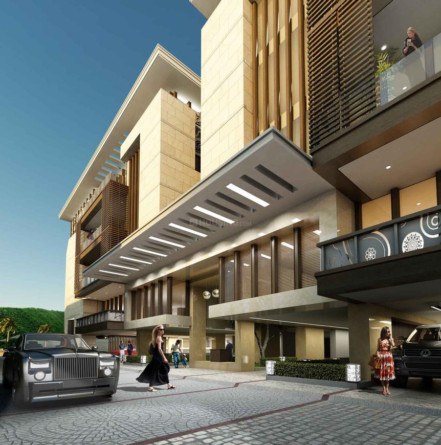 Aarone Botanica - Image 3