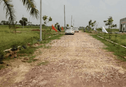 Rose N City - Image 16