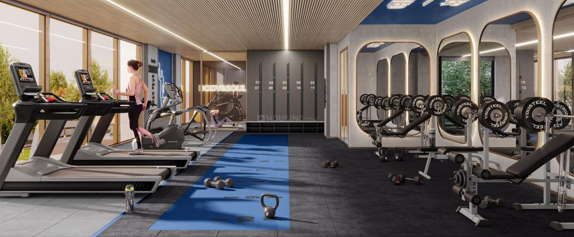 Nirala Trio - Image 9