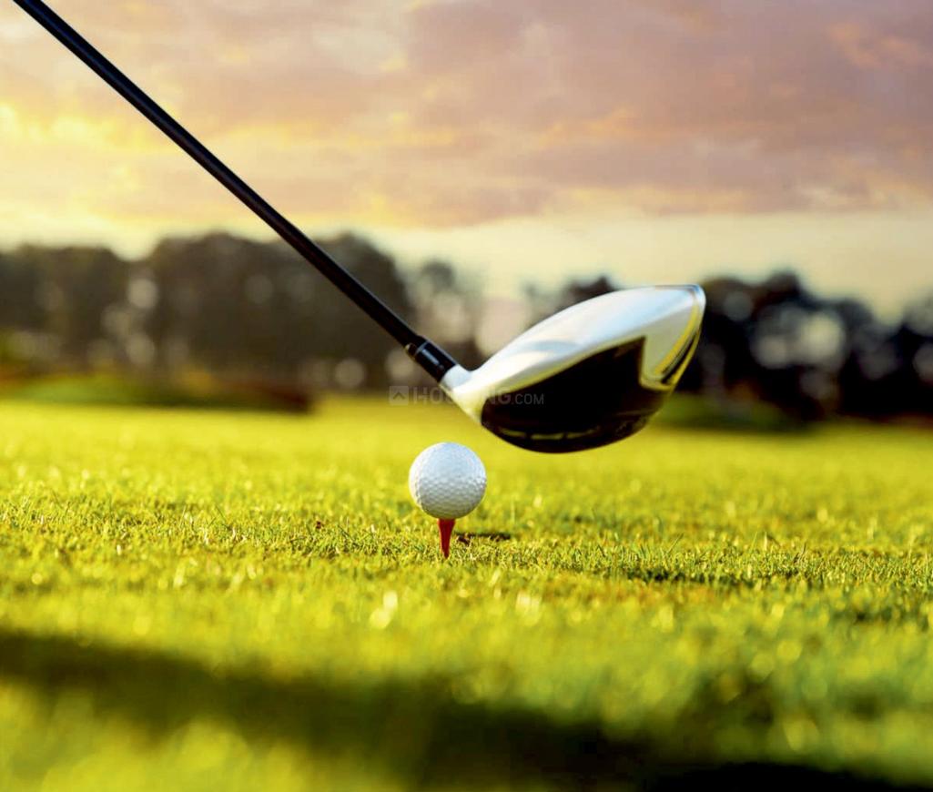 Golfgreen Elite Golf Green - Image 18