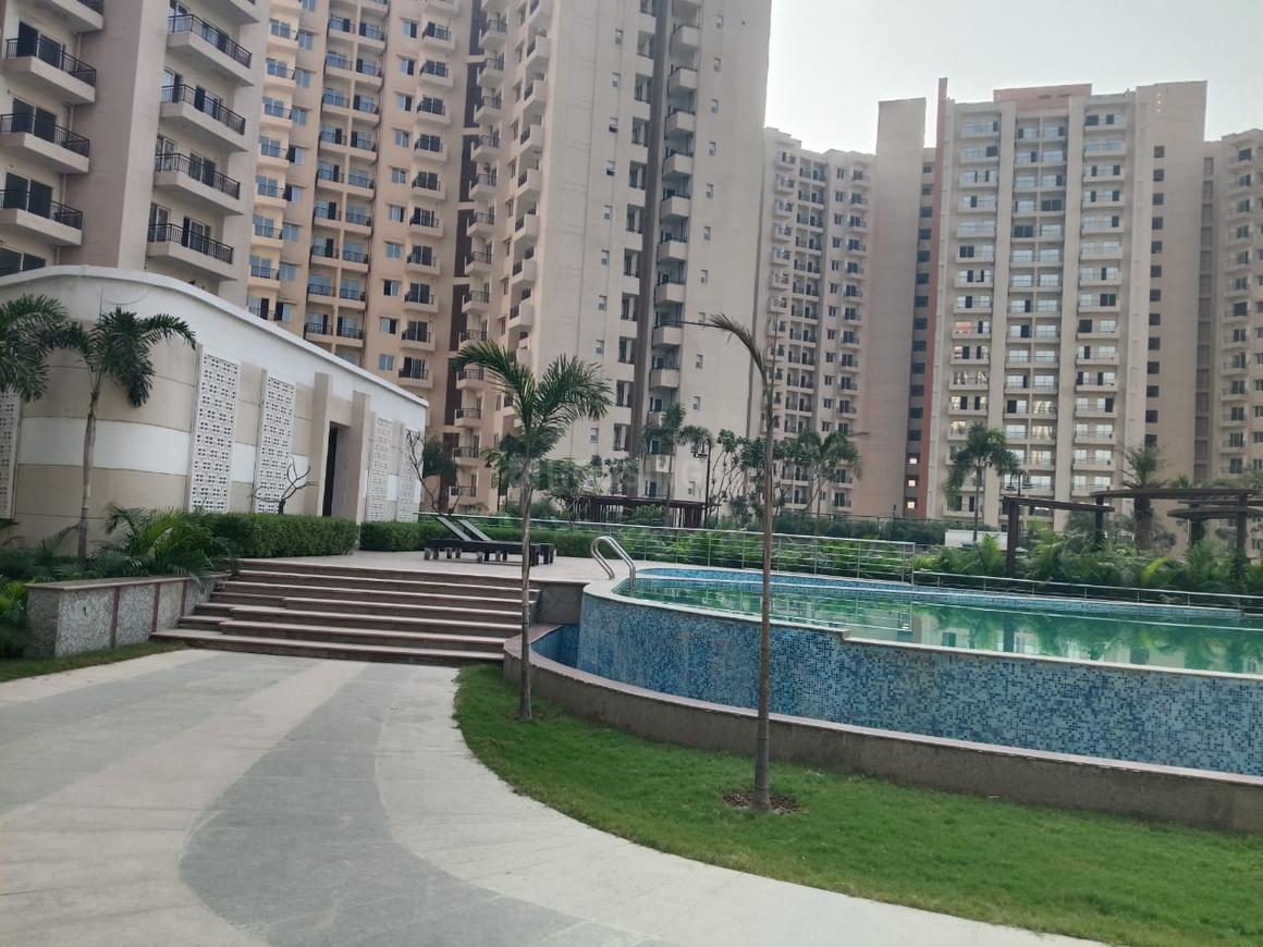 Oasis Grandstand - Image 31