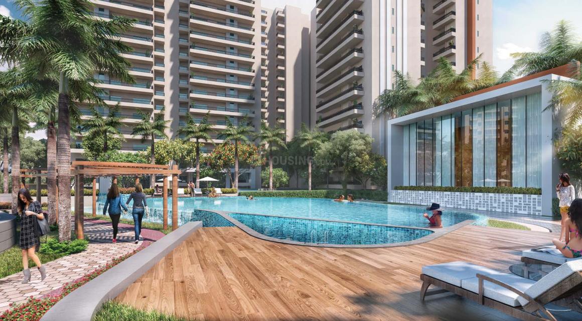 Oasis Grandstand - Image 32