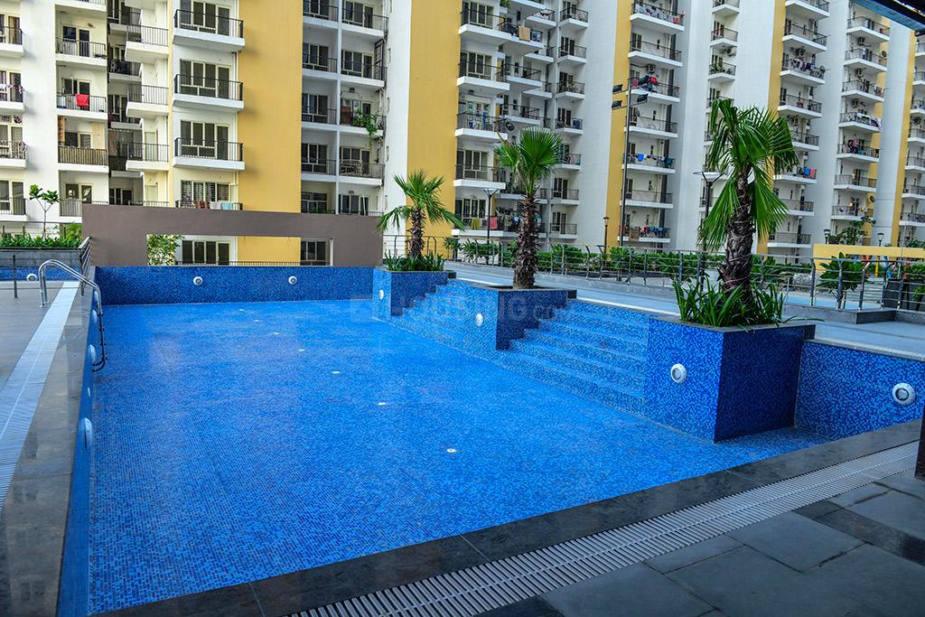 Panchsheel Hynish Phase 3 Tower T12 - Image 5