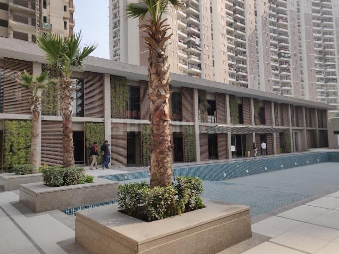 Great Value Anandam - Image 8