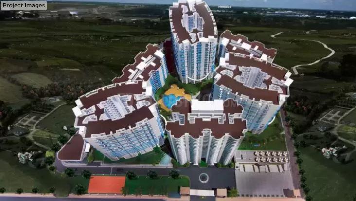 Sikka Karmic Greens - Image 5