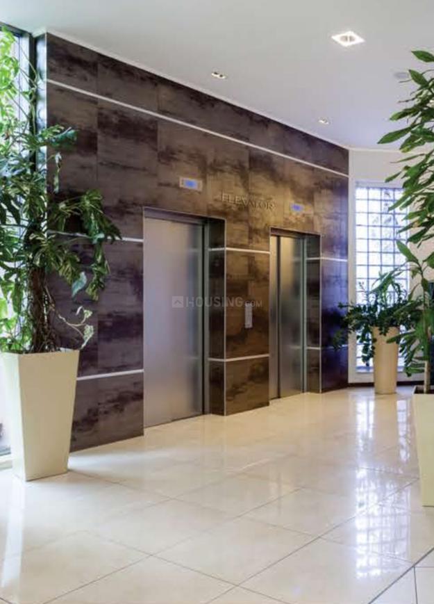 Skytech Colours Avenue - Image 10