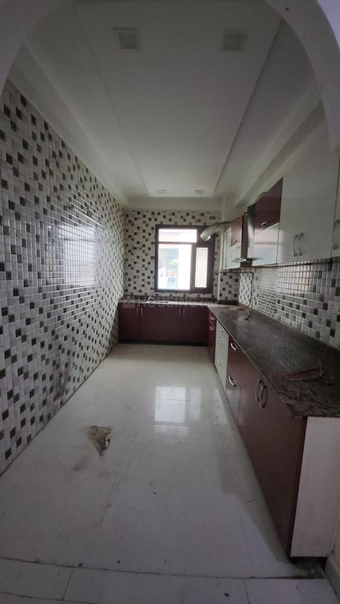 Sun Freedom Fighter Floors - Image 6