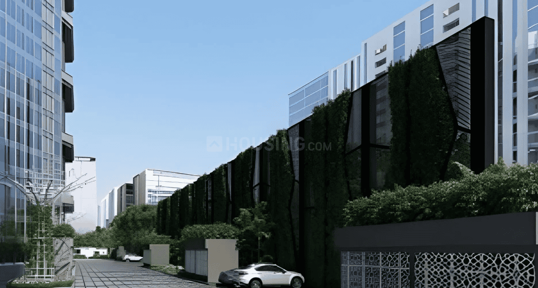 Clove County - Image 5