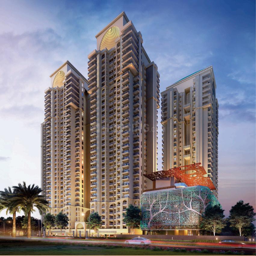 Apex Quebec - Image 2