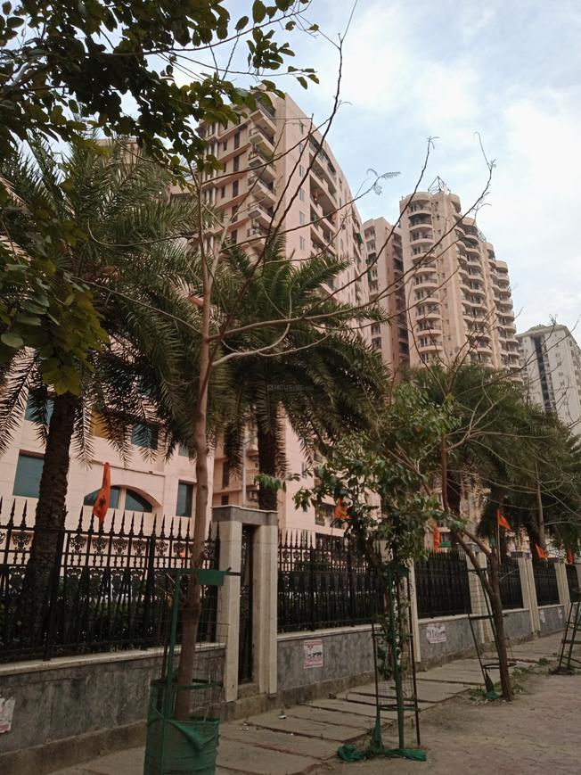 Sikka Karmic Greens - Image 6