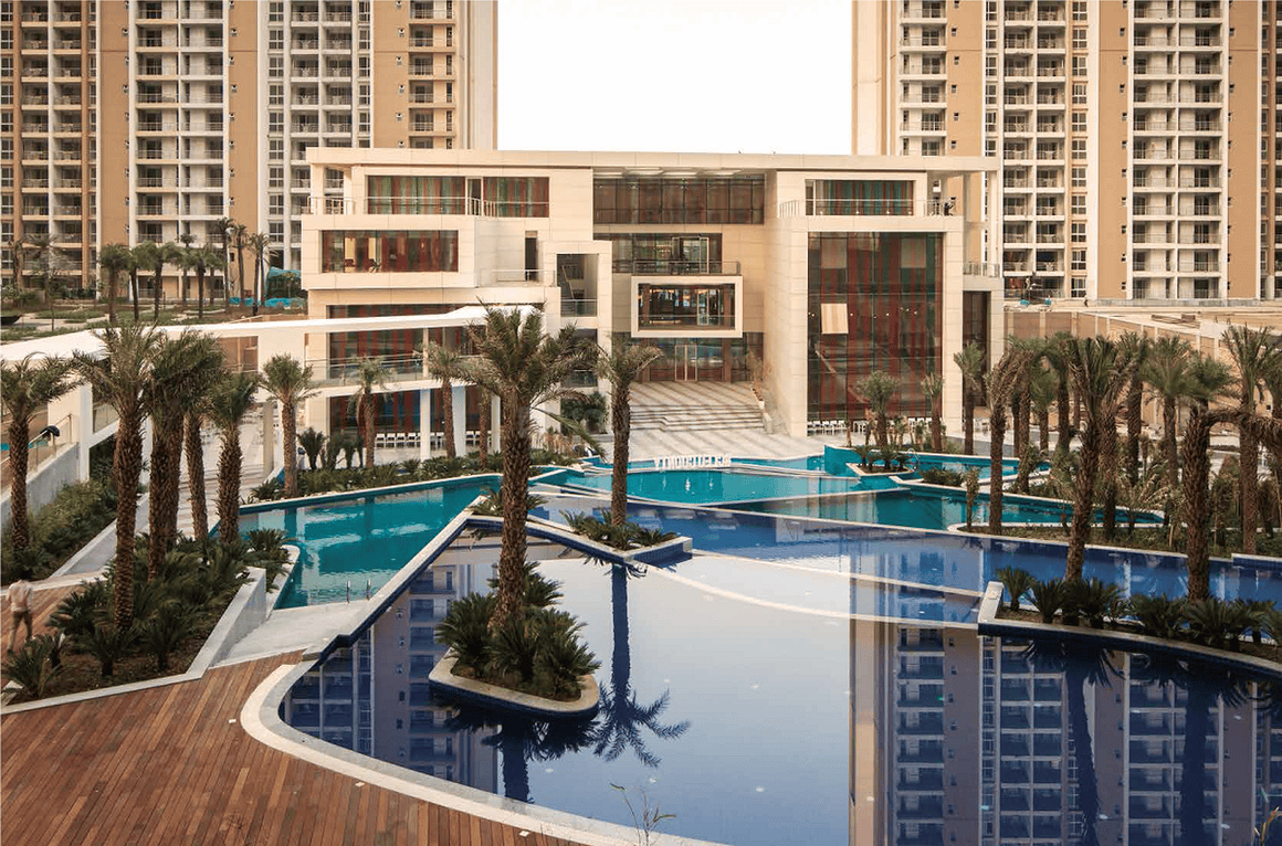 ABA Cleo Gold - Image 8