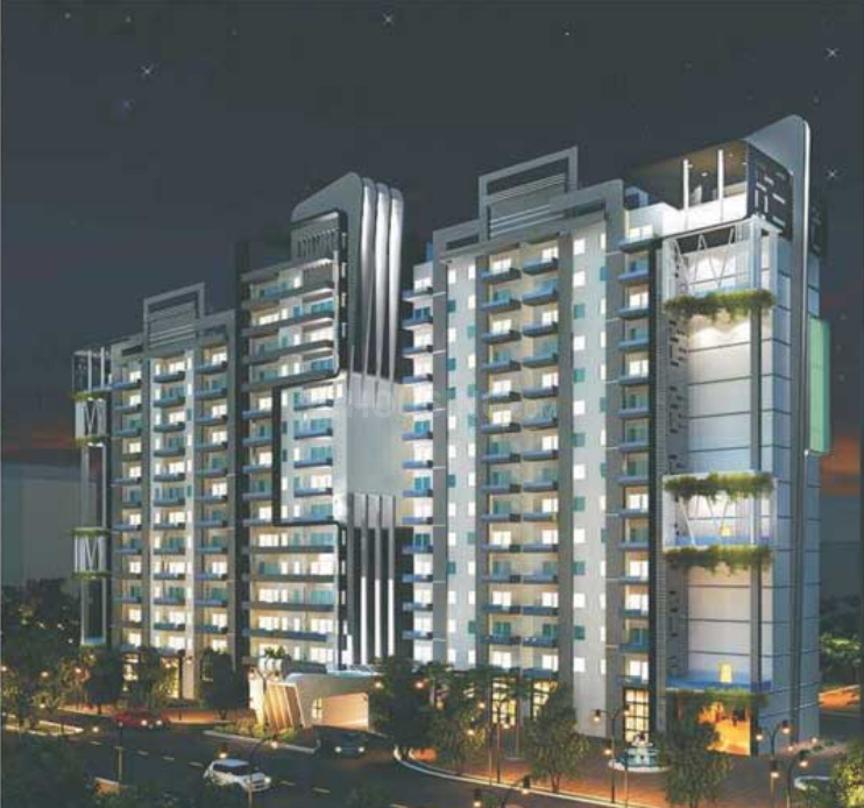 Beetle Orchid - Image 2