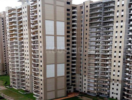 Nimbus The Golden Palms - Image 4