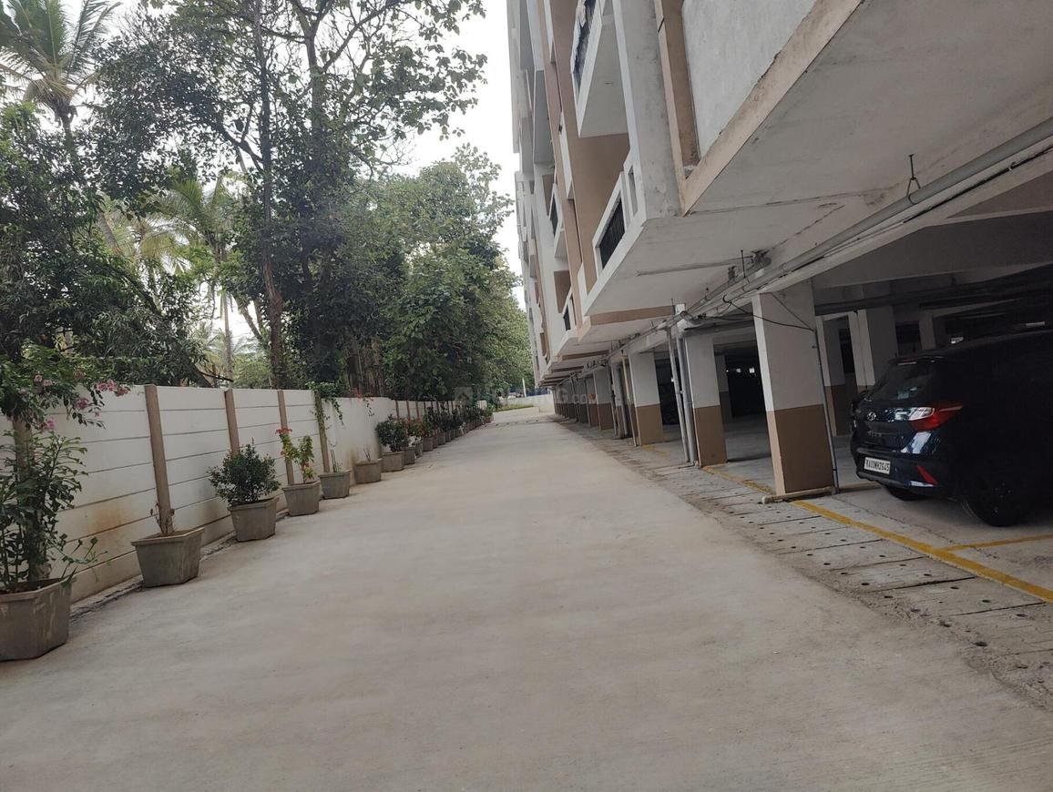 Mahaveer Carnation - Image 15
