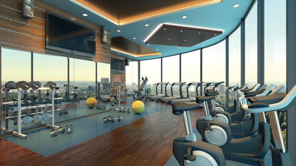 Rise Organic - Image 9