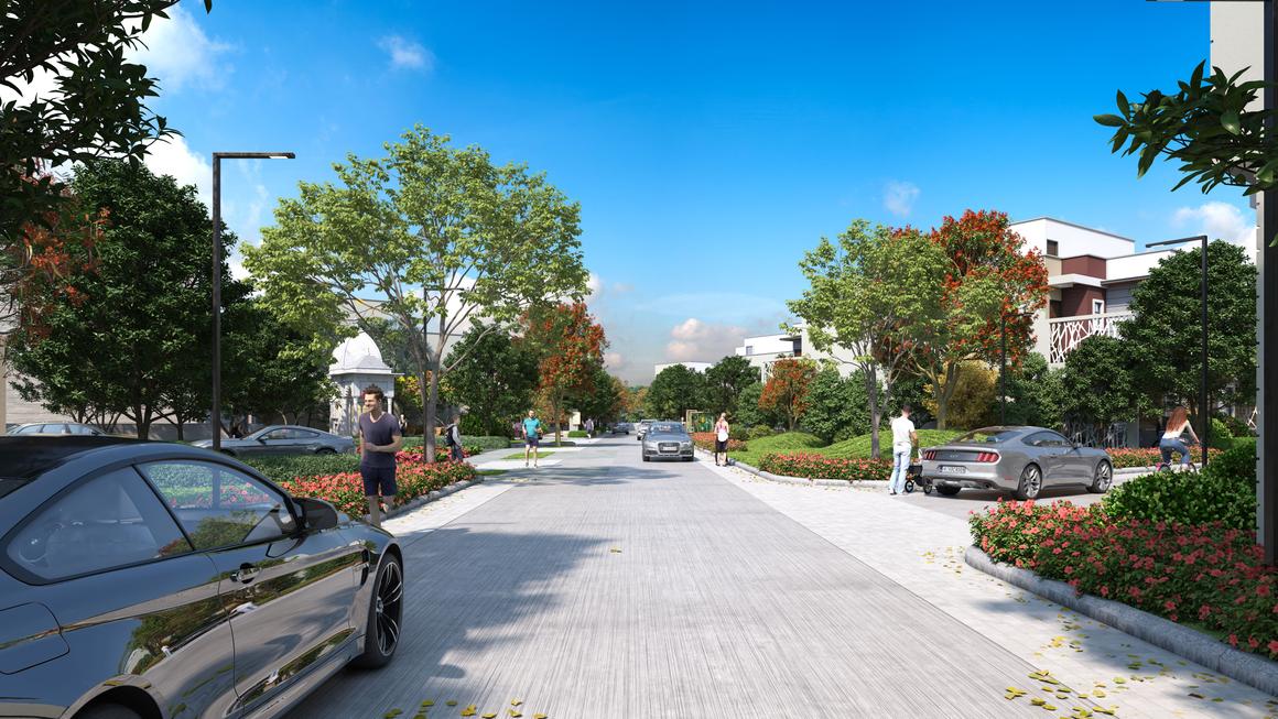 Assotech Canopy - Image 3