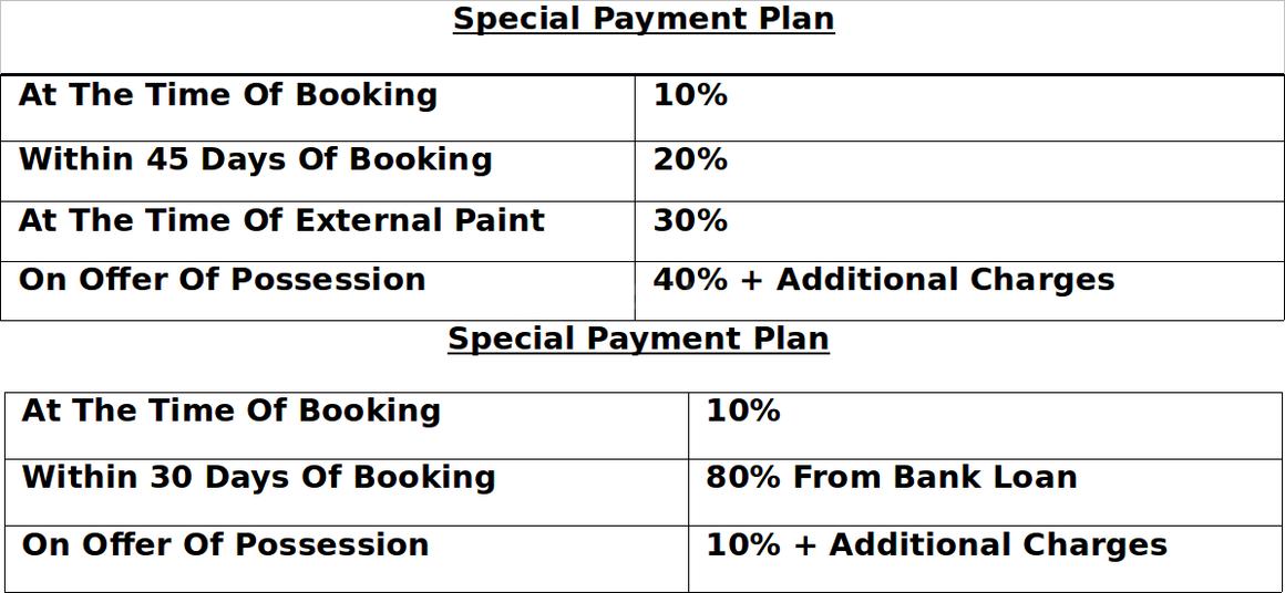 Ajnara Daffodil - Image 34
