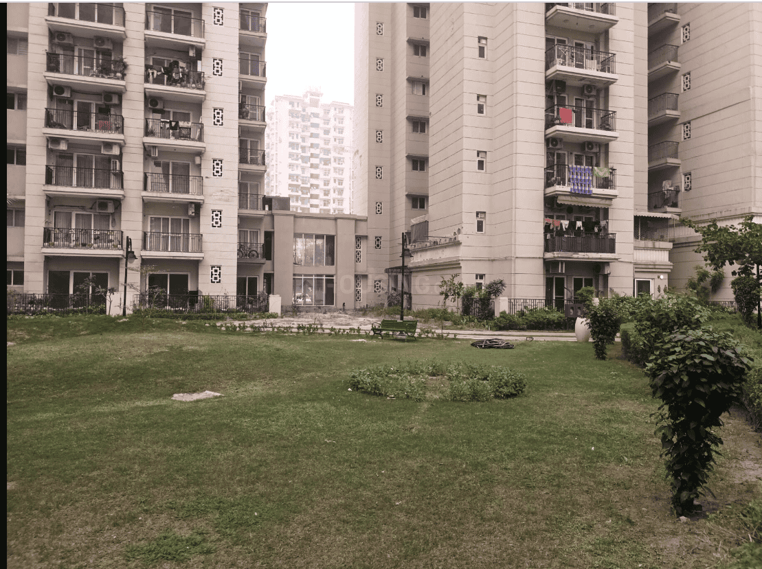 ATS Dolce - Image 24