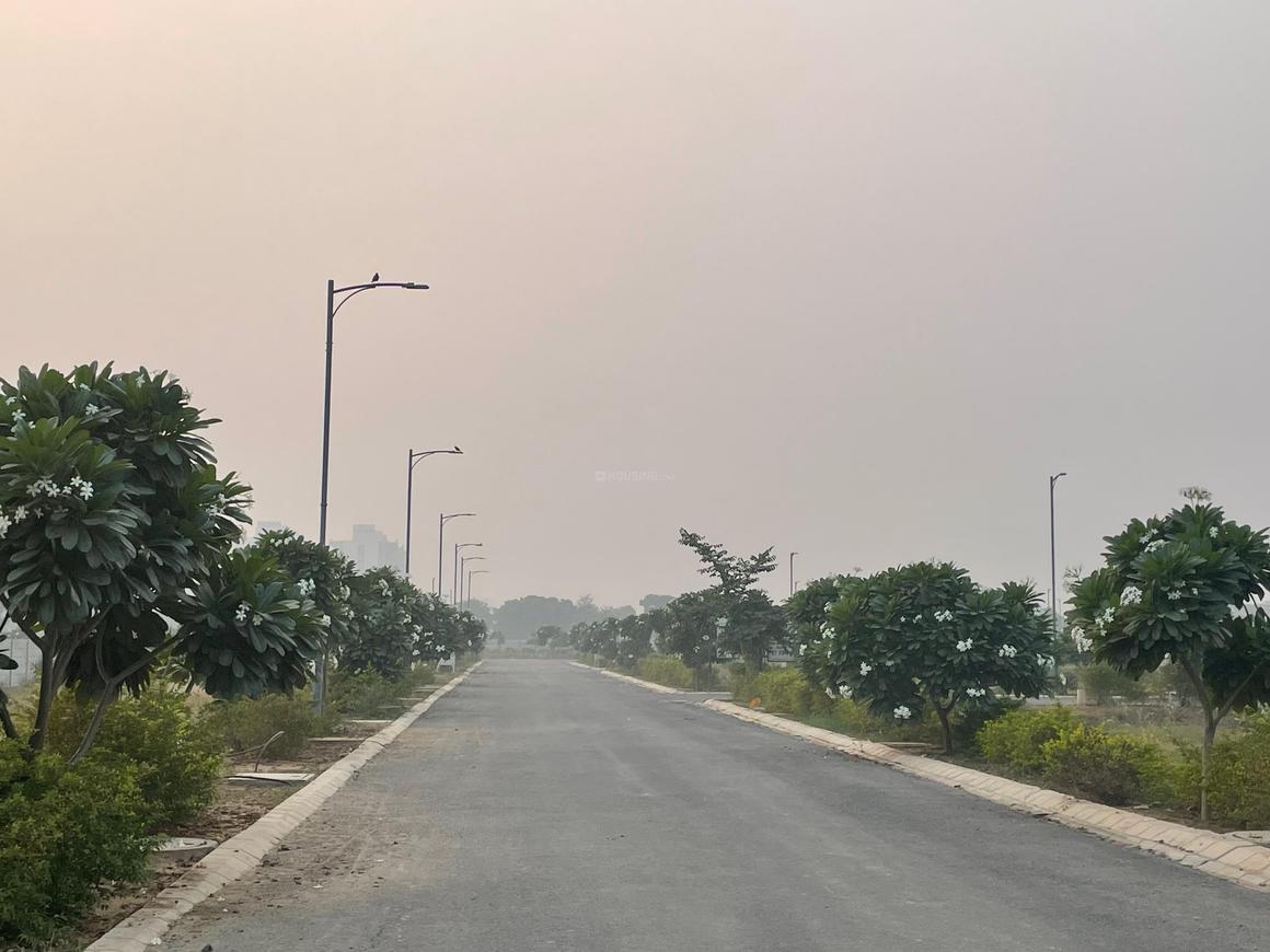 Lion Green Valley - Image 4