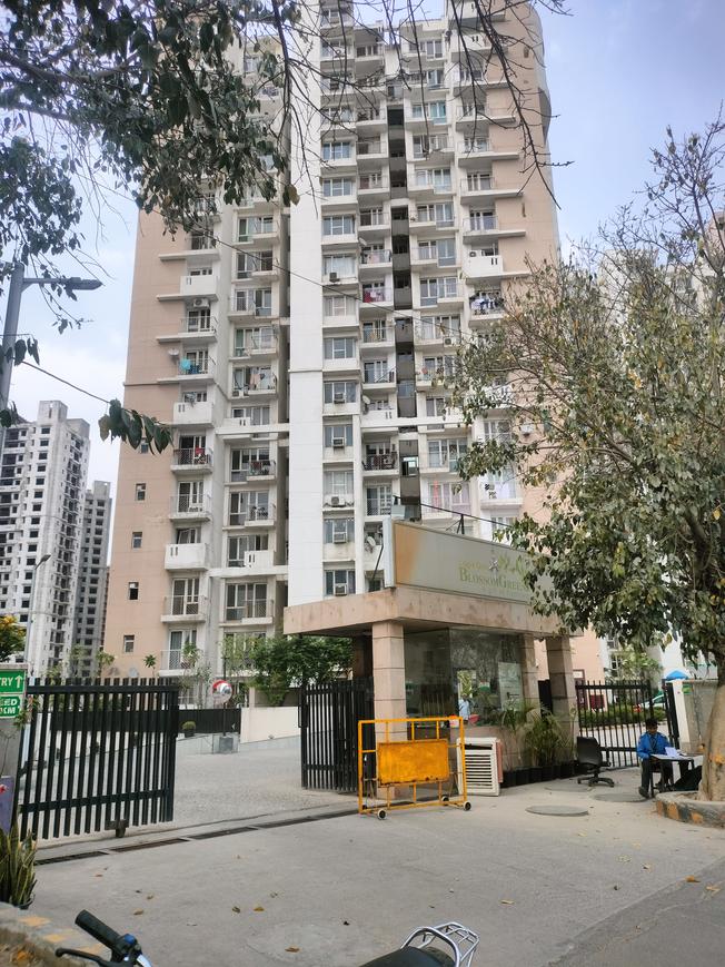 Logix Blossom Greens - Image 2