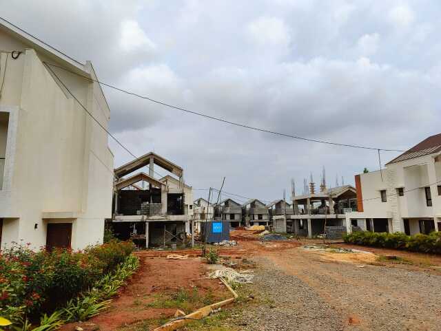 NVT Symphony Of Orchards - Image 48